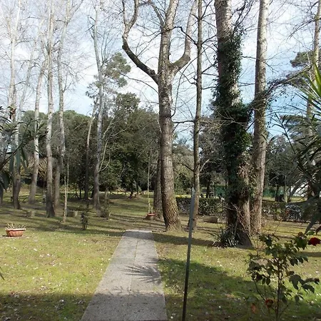 Apartment Lagomare Torre del Lago Puccini