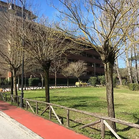Lagomare *